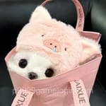 Avatar of Tooba Qamar